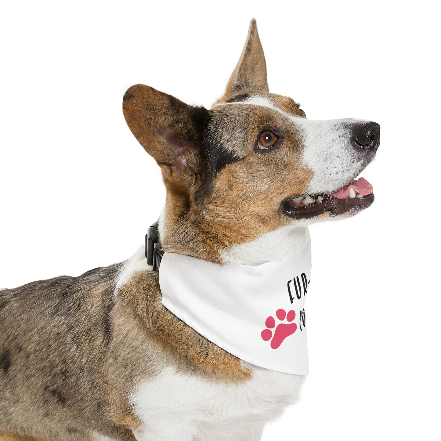 Fur-Ever Young By Fly Art Designs Pet Bandana Collar