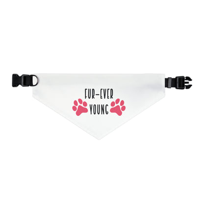 Fur-Ever Young By Fly Art Designs Pet Bandana Collar