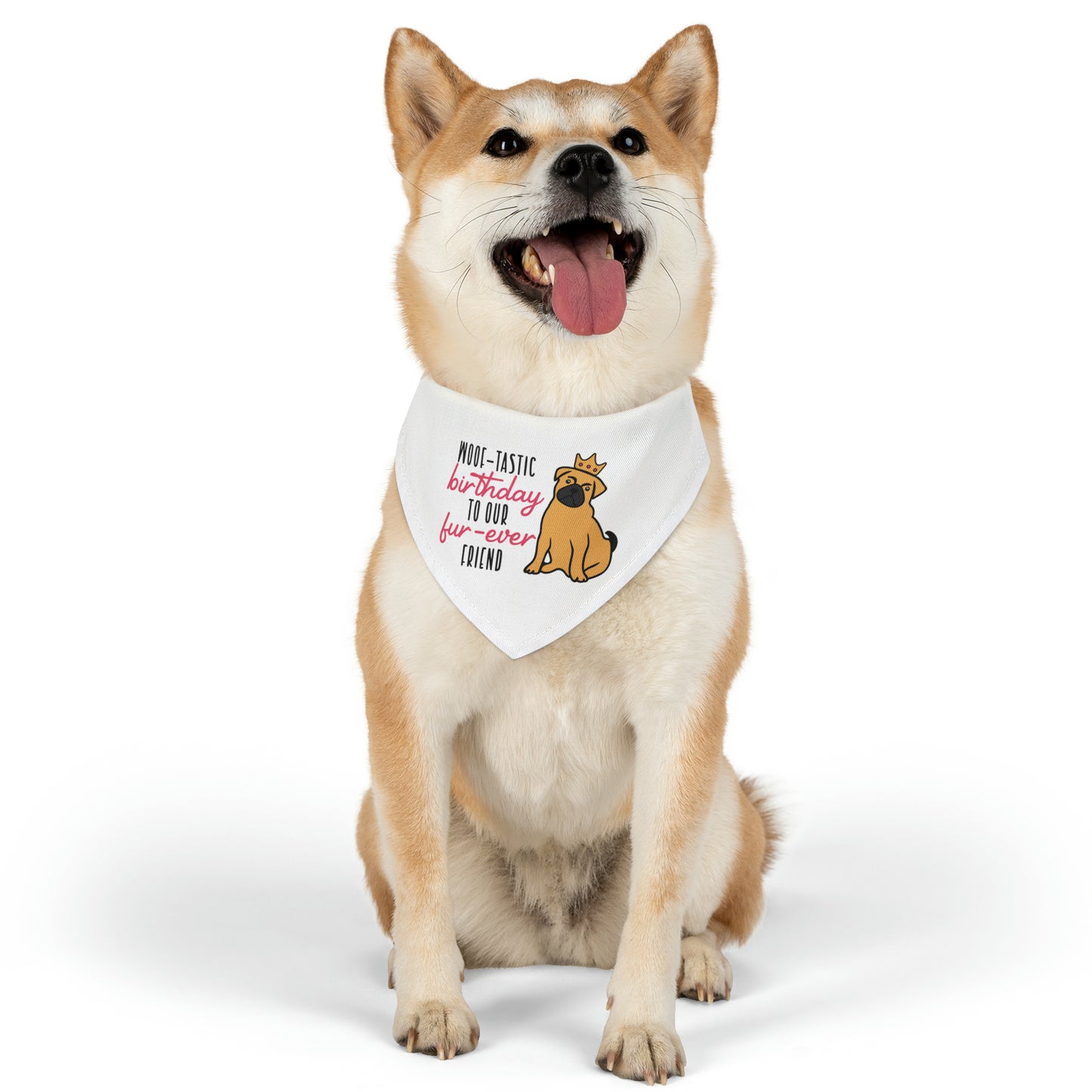 Woof-Tastic Birthday To Our Fur-Ever Friend, By Art Designs, Dog Lovers,  Dog Pet Bandana Collar