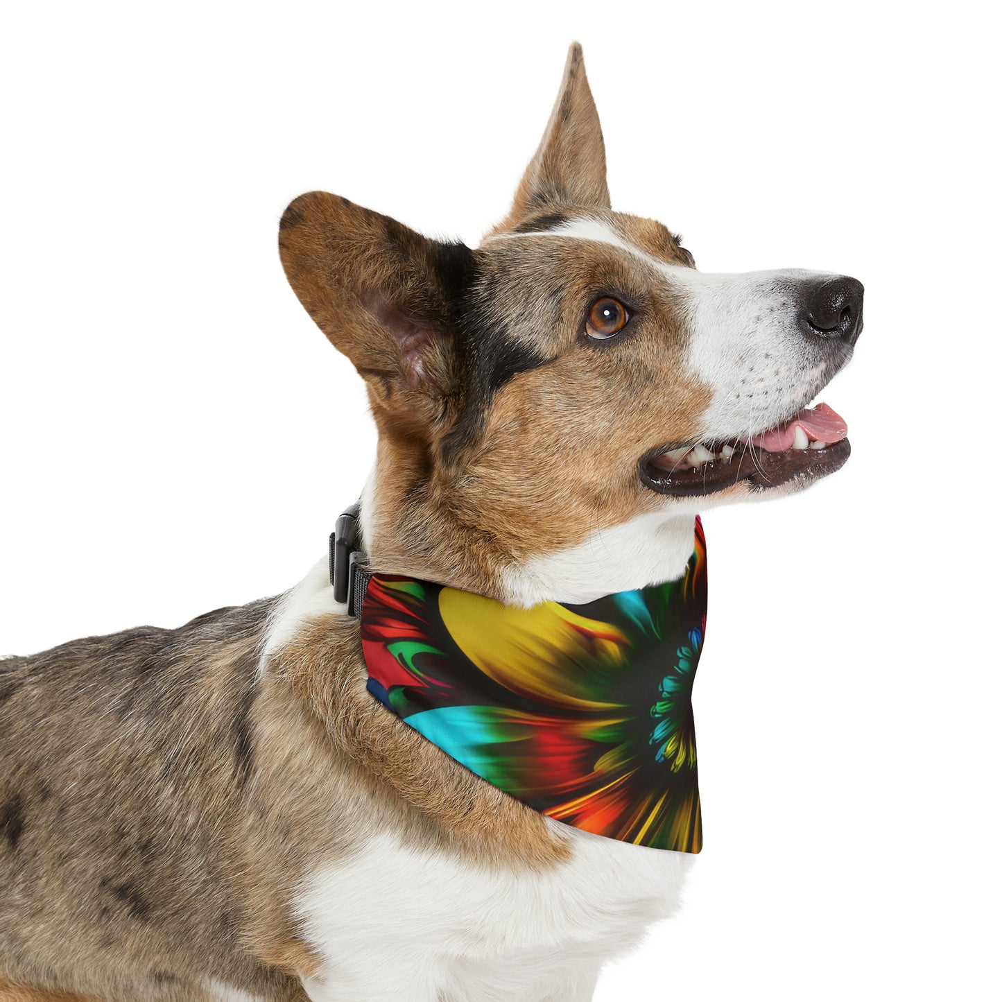 Tie Dye Color Flower Pet Bandana Collar