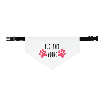 Fur-Ever Young By Fly Art Designs Pet Bandana Collar