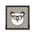 Cool Bear, Jewelry- Stash -Collection Box
