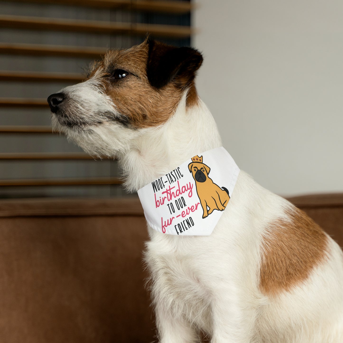 Woof-Tastic Birthday To Our Fur-Ever Friend, By Art Designs, Dog Lovers,  Dog Pet Bandana Collar