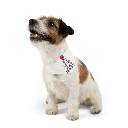 Love Is A Wet Nose And A Wagging Tail, By Art Designs, Dog Lovers,  Dog Pet Bandana Collar