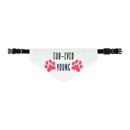 Fur-Ever Young By Fly Art Designs Pet Bandana Collar