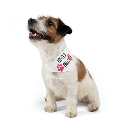 Fur-Ever Young By Fly Art Designs Pet Bandana Collar