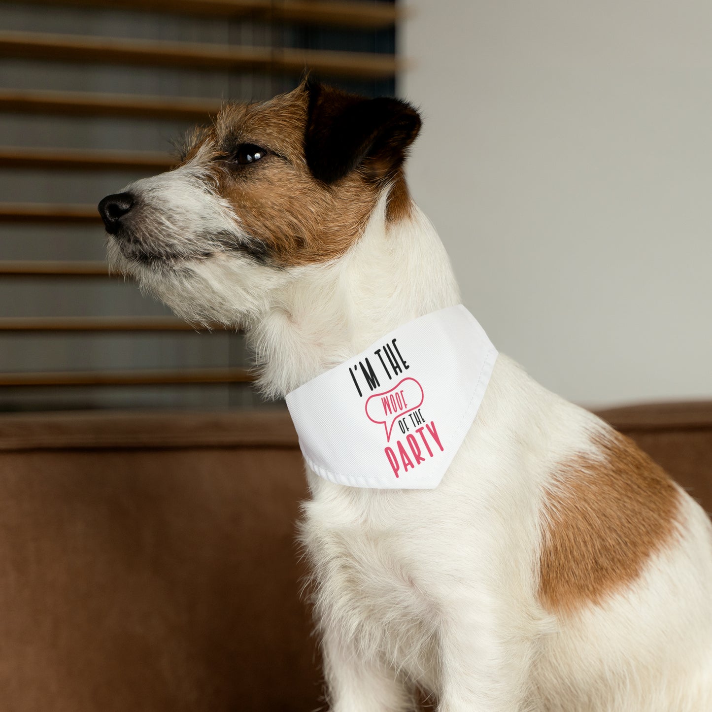 I'm The Woof Of The Party, By Art Designs, Dog Pet Bandana Collar