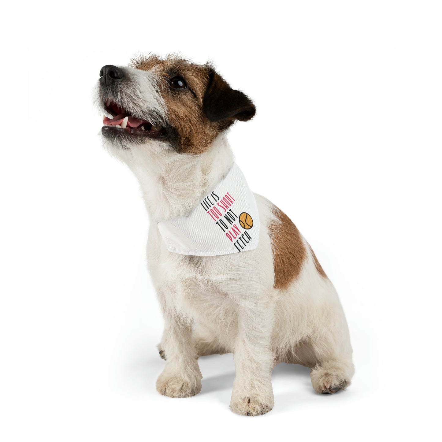 Life Is To Short Not To Play Fetch, Dog Lovers Dog Pet Bandana Collar