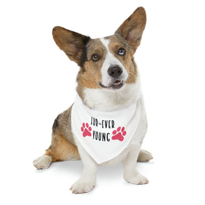 Fur-Ever Young By Fly Art Designs Pet Bandana Collar