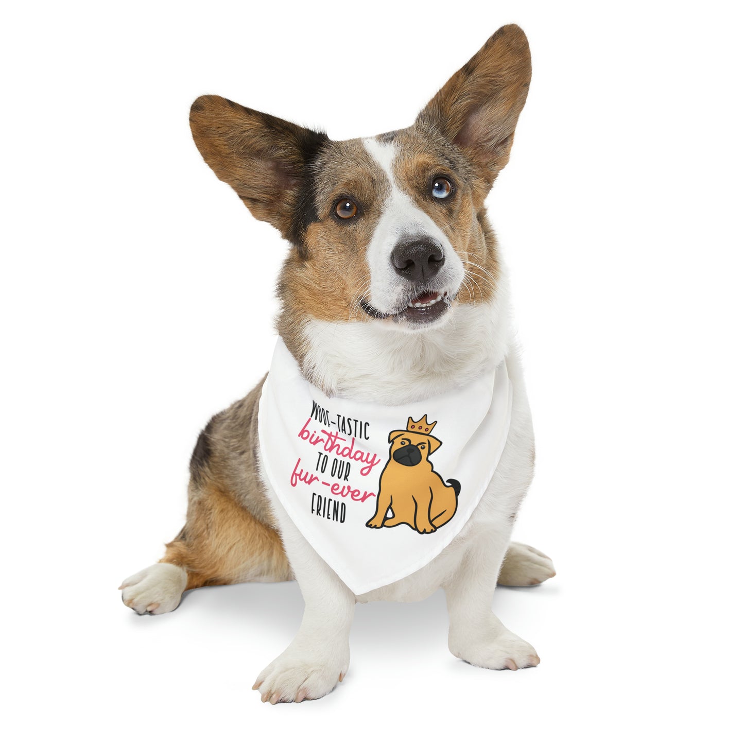 Woof-Tastic Birthday To Our Fur-Ever Friend, By Art Designs, Dog Lovers,  Dog Pet Bandana Collar