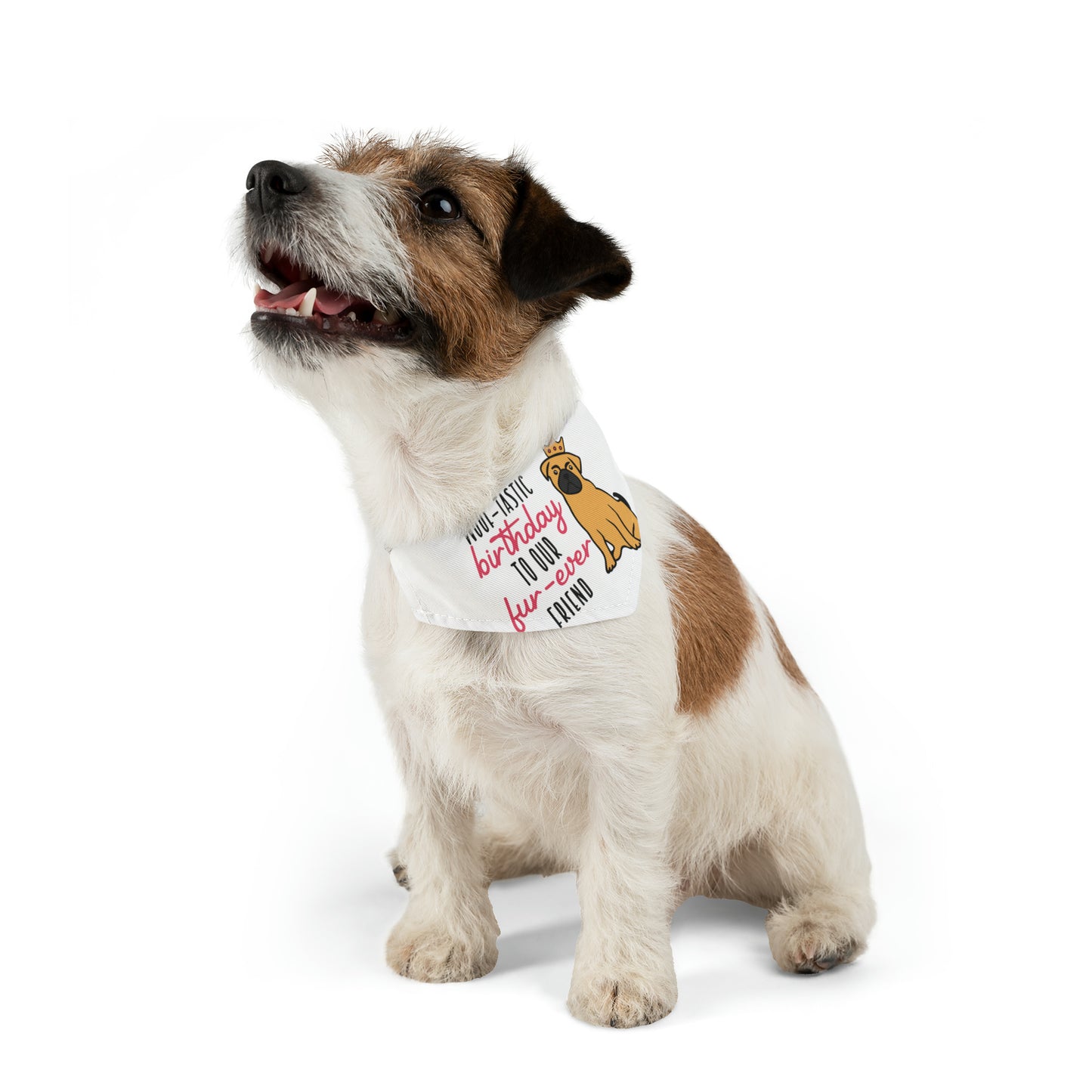 Woof-Tastic Birthday To Our Fur-Ever Friend, By Art Designs, Dog Lovers,  Dog Pet Bandana Collar