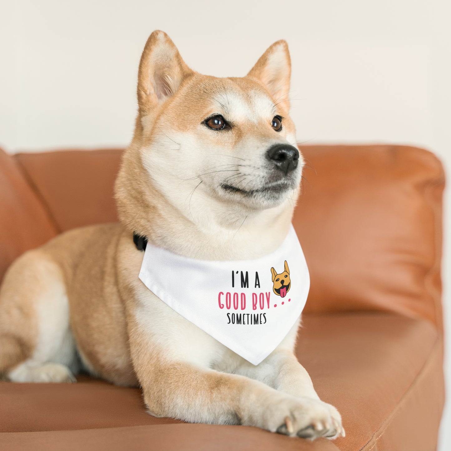 I'm A Good Boy Sometimes, Dog Lovers By Fly Art Pet Bandana Collar